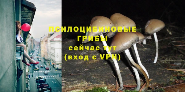 хмурый Алексеевка