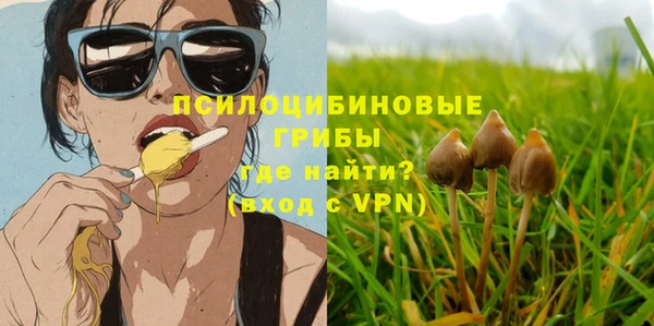 хмурый Алексеевка
