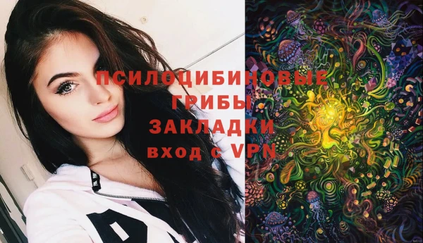 хмурый Алексеевка