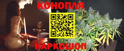 ALPHA PVP Моздок