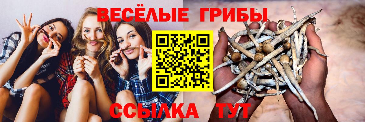 Псилоцибиновые грибы прущие грибы  Вход с VPN  Слободской  Галлюциногенные грибы ЛСД 